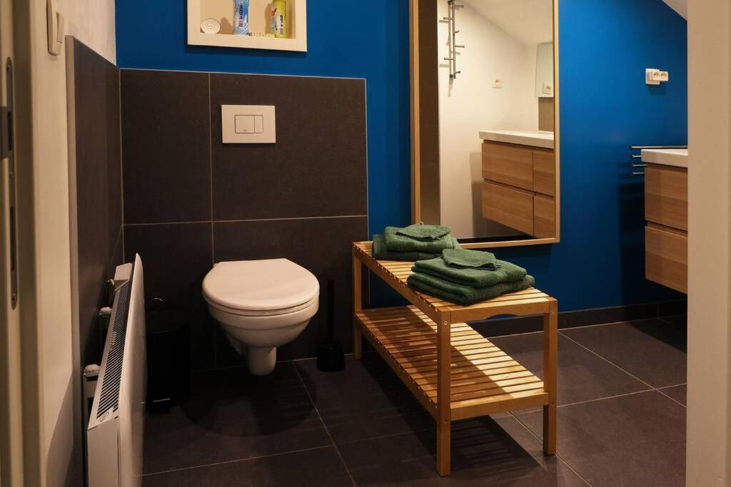 Apartament Hasbania Gingelom Zewnętrze zdjęcie