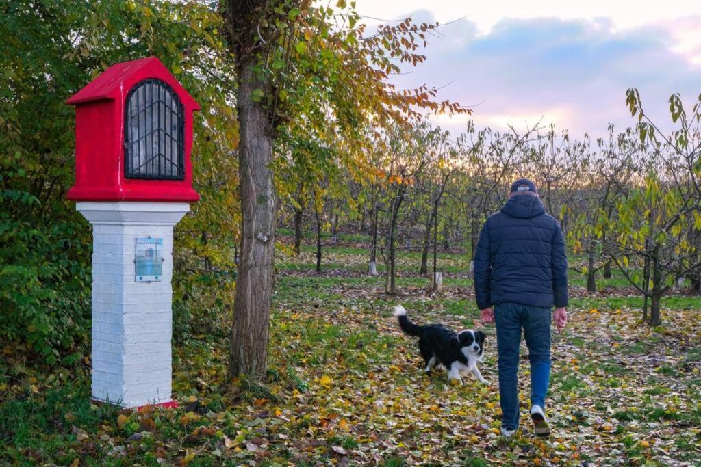 Apartament Hasbania Gingelom Zewnętrze zdjęcie