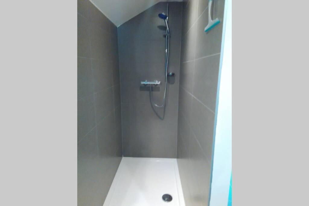 Apartament Hasbania Gingelom Zewnętrze zdjęcie