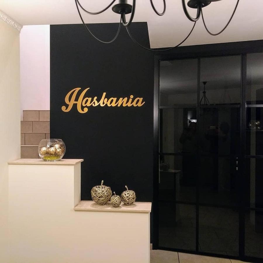 Apartament Hasbania Gingelom Zewnętrze zdjęcie