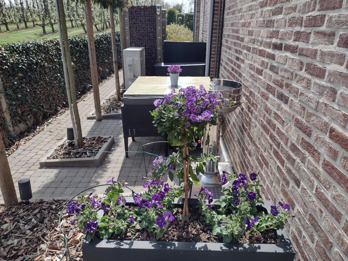 Apartament Hasbania Gingelom Zewnętrze zdjęcie